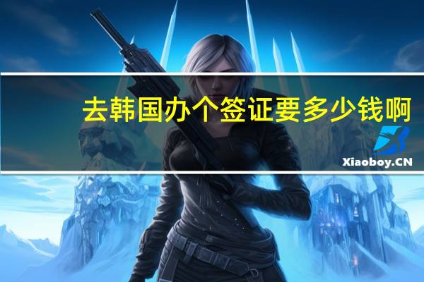 去韩国办个签证要多少钱啊