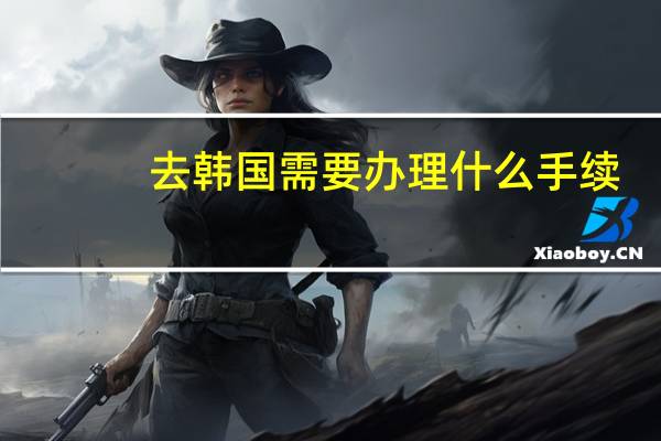 去韩国需要办理什么手续