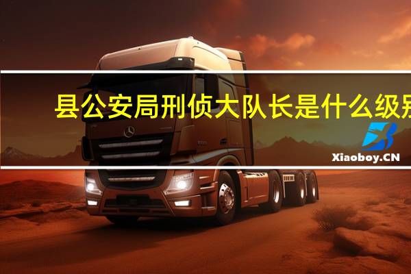 县公安局刑侦大队长是什么级别