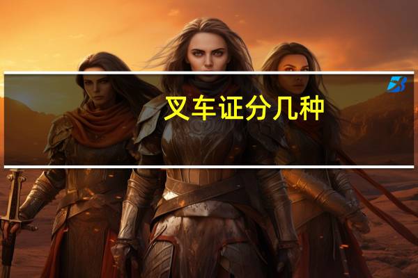 叉车证分几种