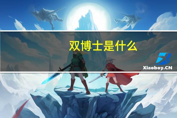 双博士是什么