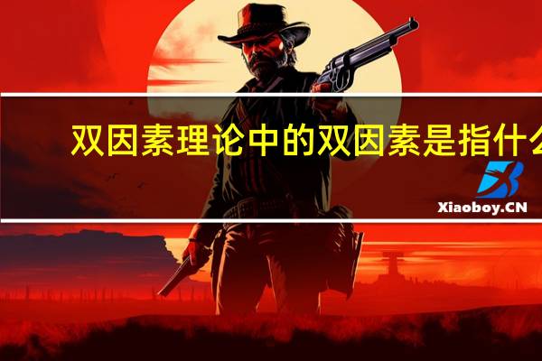 双因素理论中的双因素是指什么