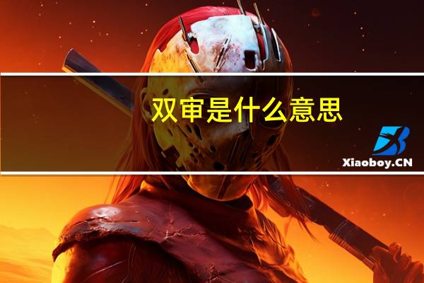 双审是什么意思