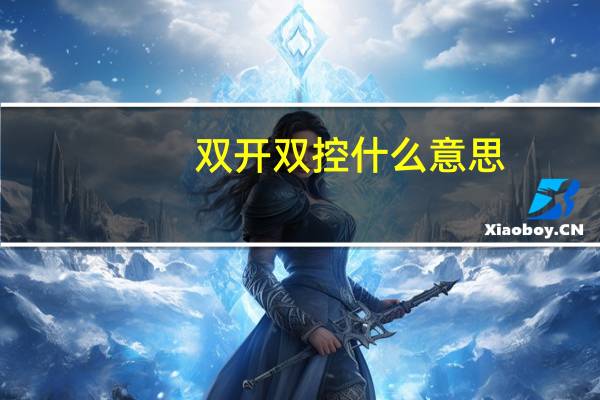 双开双控什么意思