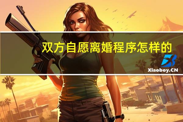 双方自愿离婚程序怎样的