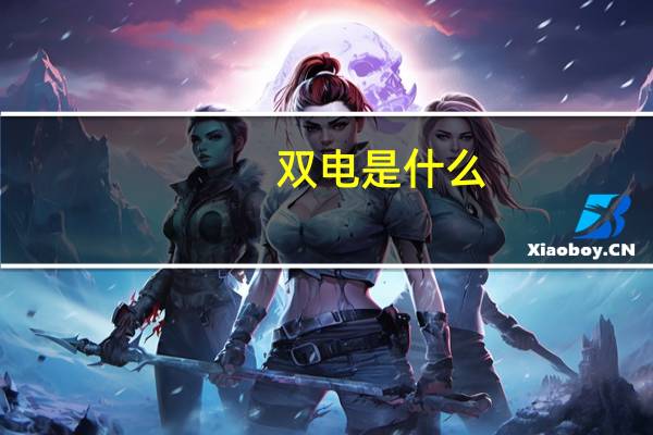 双电是什么