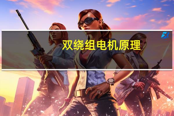 双绕组电机原理