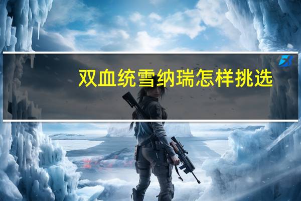 双血统雪纳瑞怎样挑选