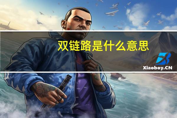 双链路是什么意思