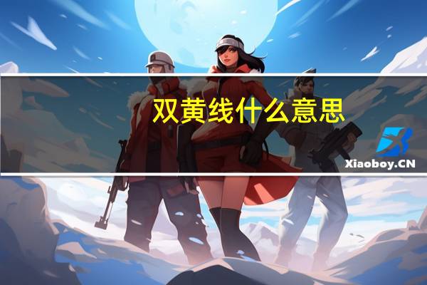 双黄线什么意思