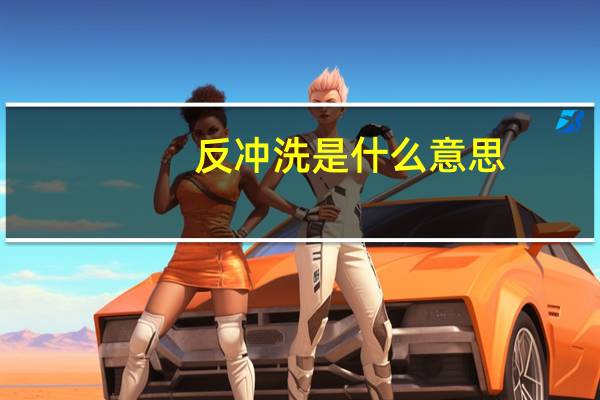 反冲洗是什么意思