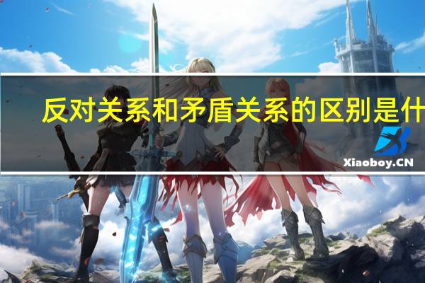 反对关系和矛盾关系的区别是什么