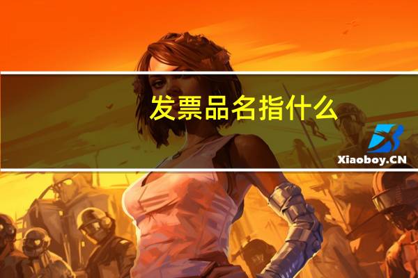 发票品名 指什么