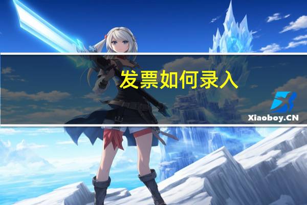 发票如何录入