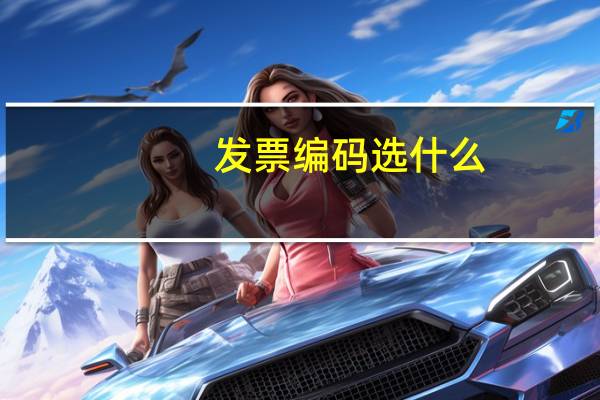 发票编码选什么