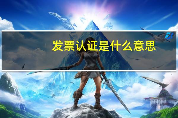 发票认证是什么意思