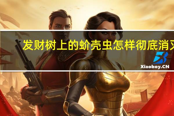 发财树上的蚧壳虫怎样彻底消灭
