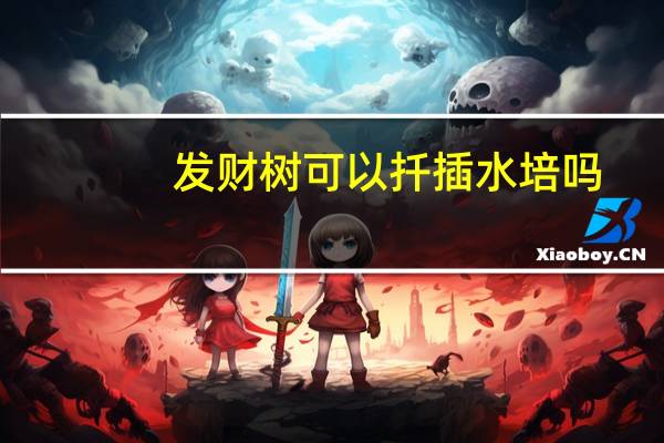 发财树可以扦插水培吗