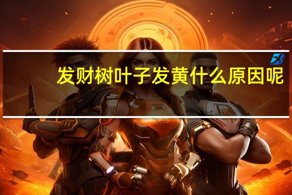 发财树叶子发黄什么原因呢