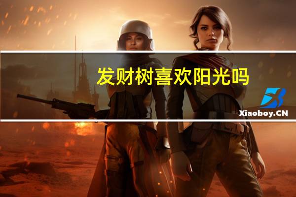 发财树喜欢阳光吗