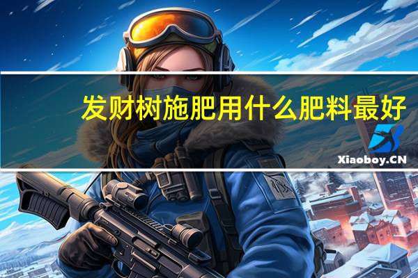 发财树施肥用什么肥料最好