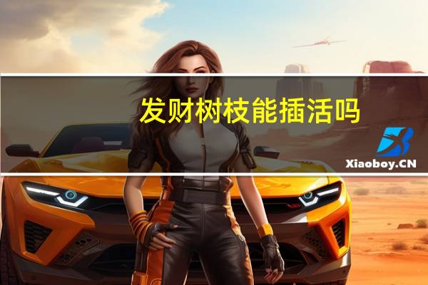 发财树枝能插活吗