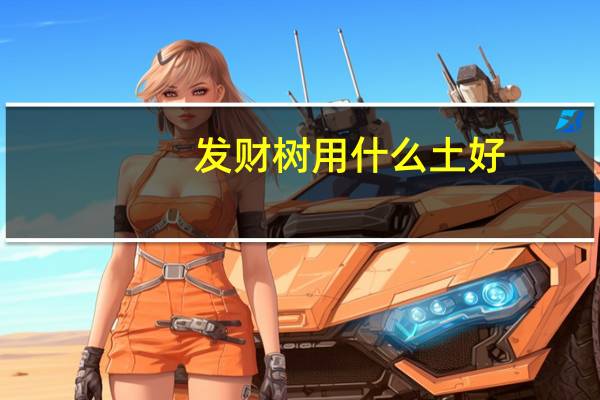 发财树用什么土好