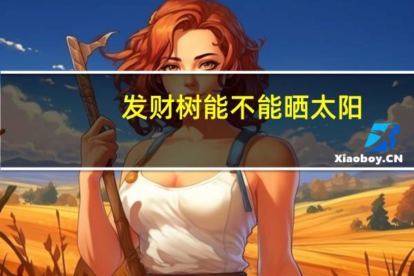 发财树能不能晒太阳
