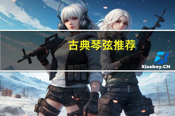 古典琴弦推荐