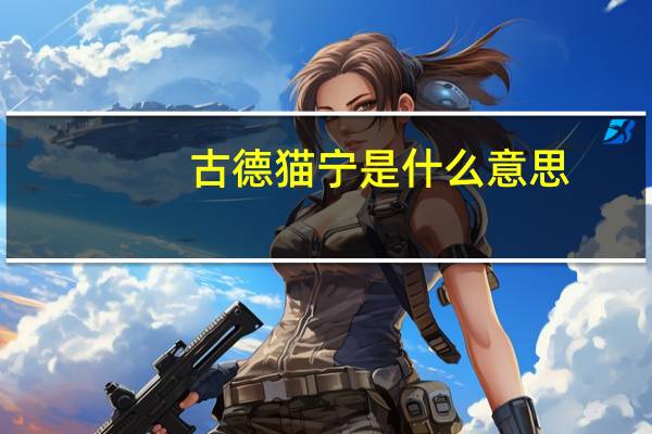 古德猫宁是什么意思