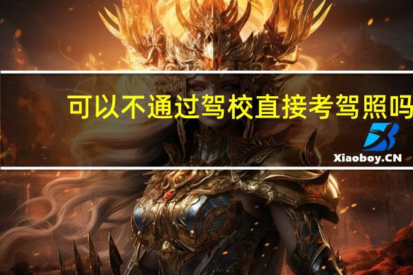 可以不通过驾校直接考驾照吗