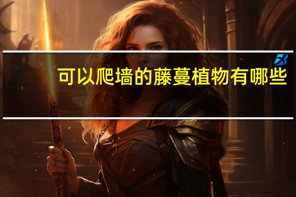 可以爬墙的藤蔓植物有哪些