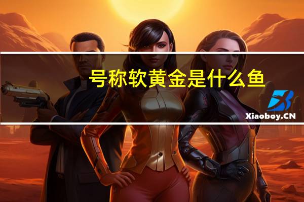 号称软黄金是什么鱼