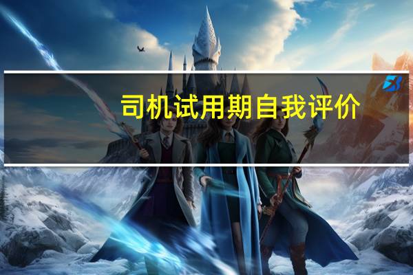 司机试用期自我评价