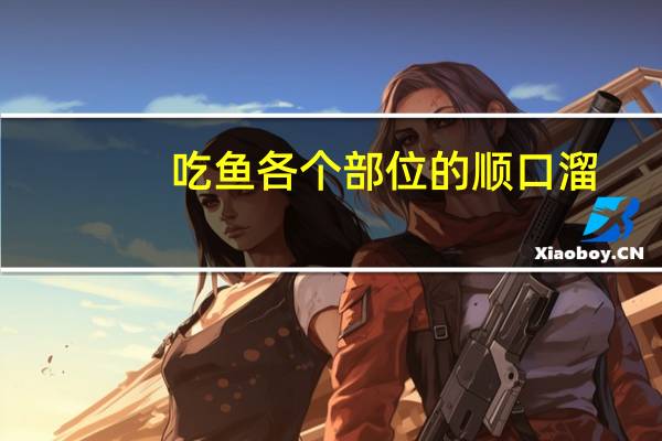 吃鱼各个部位的顺口溜