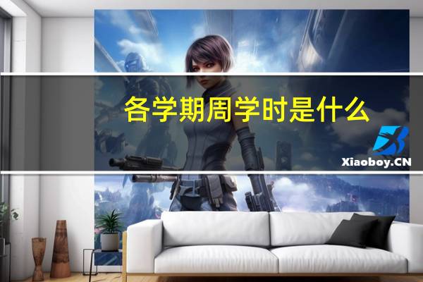 各学期周学时是什么