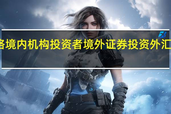 合格境内机构投资者境外证券投资外汇管理规定