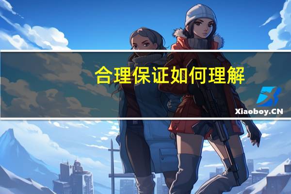 合理保证如何理解