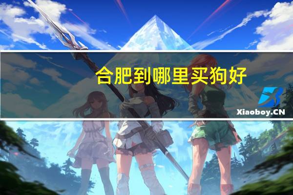 合肥到哪里买狗好