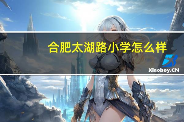 合肥太湖路小学怎么样
