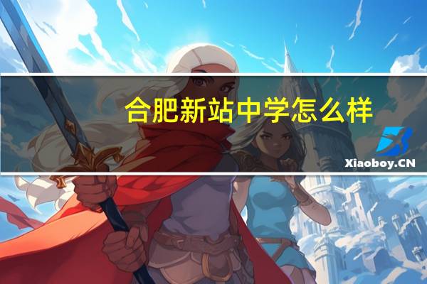 合肥新站中学怎么样