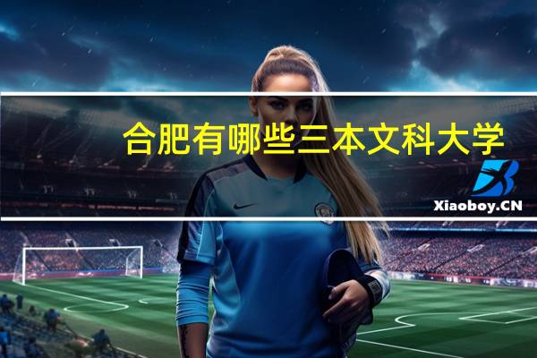 合肥有哪些三本文科大学