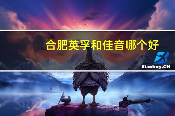 合肥英孚和佳音哪个好