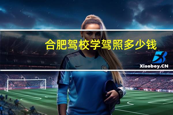 合肥驾校学驾照多少钱