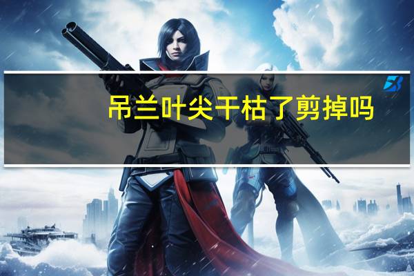 吊兰叶尖干枯了剪掉吗