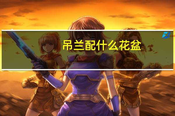 吊兰配什么花盆