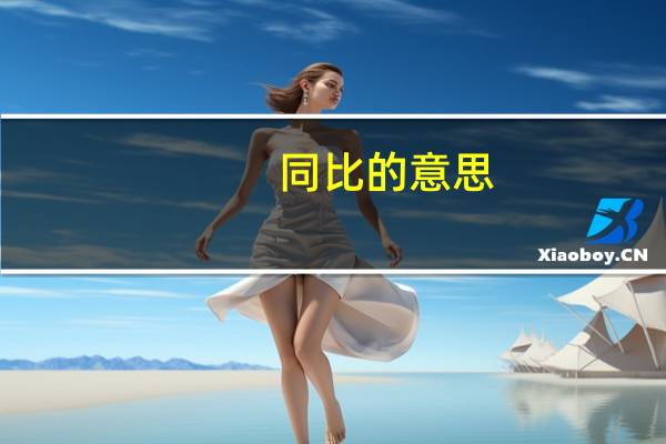 同比的意思