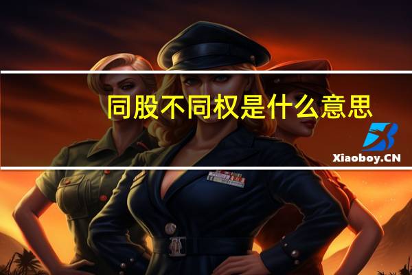 同股不同权是什么意思