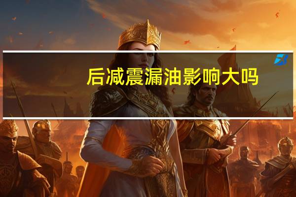后减震漏油影响大吗