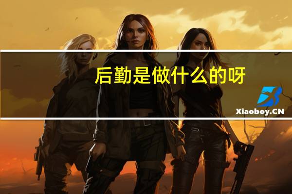 后勤是做什么的呀